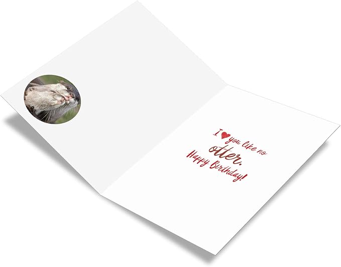 The Best Card Company - 1 Happy Birthday Greeting Card - Adorable Animals, Cute Bday Notecard with Envelope - Significant Otters C5528BDG