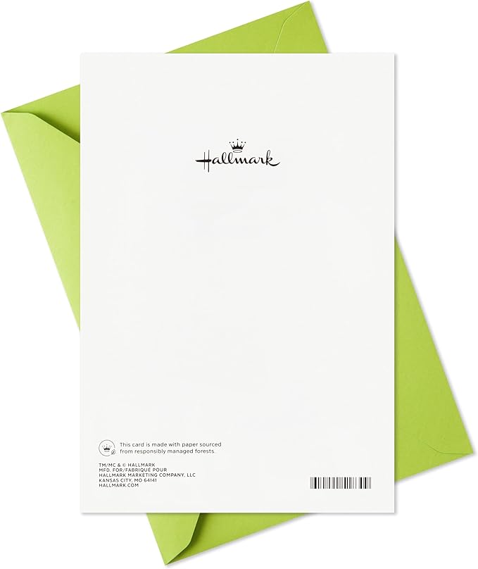 Hallmark Kids Birthday Card with Sticker (High Five Decal) for Son, Daughter, Grandchild