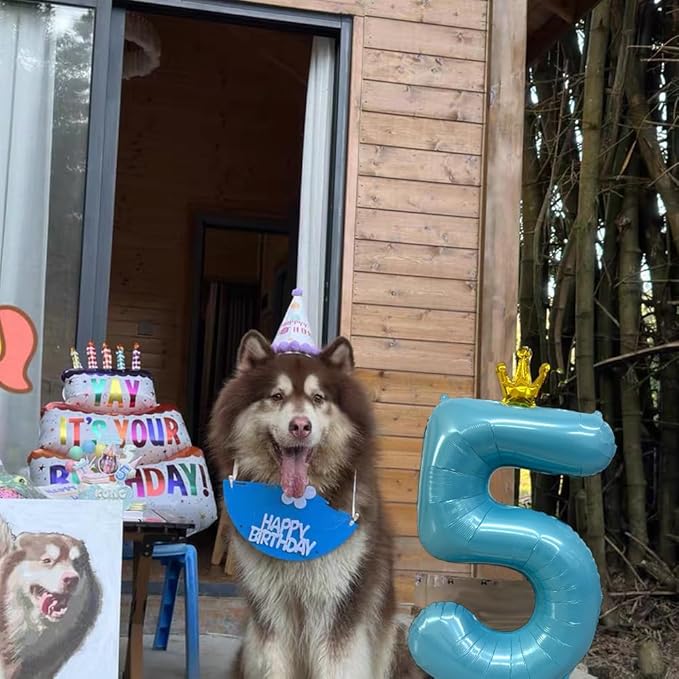 Blue Number 6 Balloon with Crown, 40 inch Blue Number Balloon 6th Birthday Party Decoration BlueCrown Balloons 0-9 for Birthday Party Anniversary Decorations Supplies
