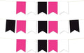 Andaz Press Hanging Pennant Banner with String, Fuchsia, White, Black, 1-Set, 24 Pennants, Approx. 12-Feet Long, Girl's Graduation