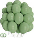 Sage green Balloons 100 Pack 12 inch Round Helium Olive Green Balloons for Birthday Jungle Theme Safari Baby Shower Retro Neutral Wedding Party Decorations