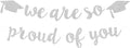 2026 Graduation Decorations Pre-Strung Blingbling We Are So Proud of You Banner Glitter Graduation Garland for Class of 2026 High School College Grad Party (Silver)
