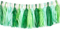 30pcs Paper Tassels Garland Banner Tissue Paper Tassel DIY Hanging Paper Decorations Party Tassel Garland Decor Baby Shower Nursery Wedding Festival Baby Shower Decoration(30, Green kit)