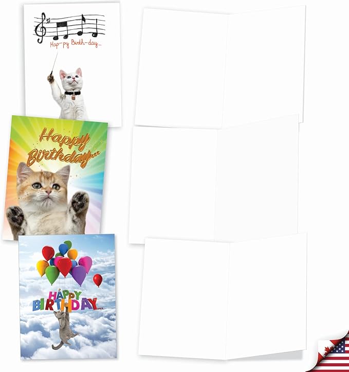 The Best Card Company - 10 Happy Birthday Note Cards Blank - Assorted Bulk Birthday Notecards, Cute Animals Boxed Set (4 x 5.12 Inch) - Cat Sent Greetings AM6112BDB-B1x10