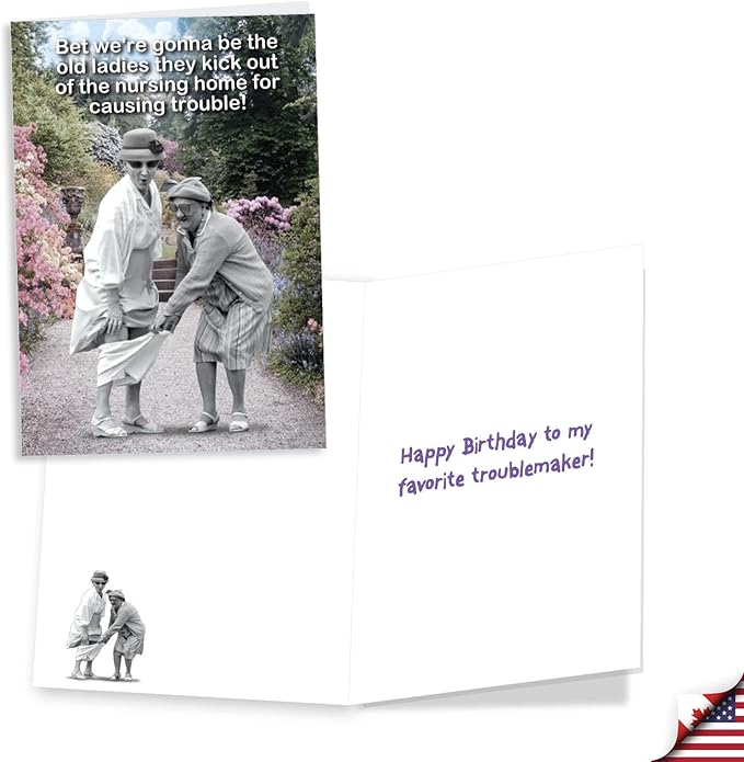 NobleWorks Assortment Pack of 3 Hilarious Birthday Greeting Cards with Envelopes (3 Designs, 1 Each) Young At Heart VC7958BDG-C1x3