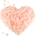 CODE FLORIST 1500 PCS Champagne Silk Rose Petals for Valentine's Day,Romantic Night,Wedding,Proposal Anniversary Flower Decorations(Separated,Scented)