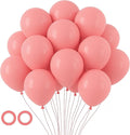 105pcs Retro Pink Balloons 12inch Party Latex Balloons for Boys Girls Birthday Baby Shower Gender Reveal Wedding Sunflower Party Decorations