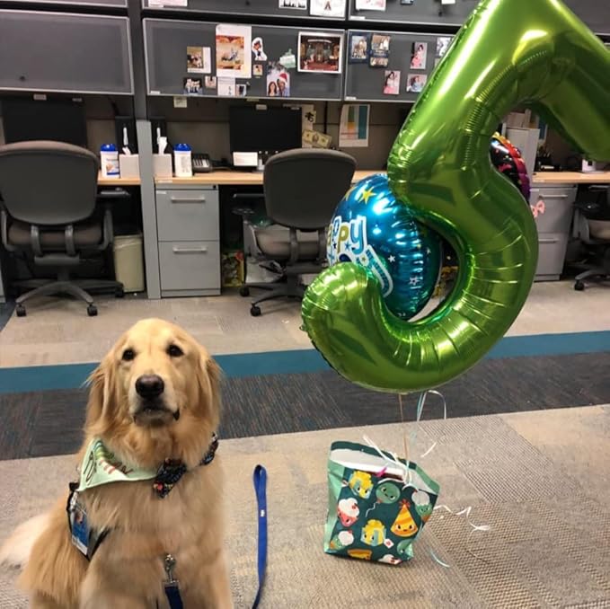 40 Inch Green Number Balloon 4, Large Number Foil Balloons Mylar for Girl Boy Birthday Party Celebration Decorations Supplies, Digital Balloons for Wedding Anniversary Events Decorations
