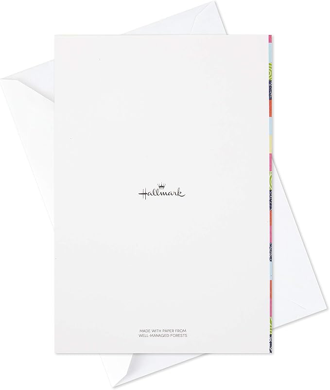 Hallmark Assorted Birthday Greeting Cards (12 Cards and Envelopes)