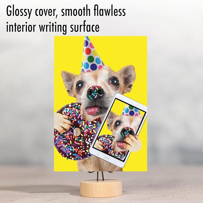 NobleWorks - Birthday Greeting Card with 5 x 7 Inch Envelope (1 Card), Fun Animal Bday Celebration - Doggy Selfie - Sprinkles C9512DBDG
