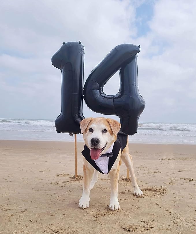 40 Inch Large Numbers Balloon, 4 Black Ballon for 4th 14 40 44 Birthday Party, Balloon 4 Number for Graduations Wedding Supplies