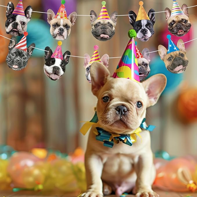 Hooqict Dog Birthday Banner Puppy Themed Party Decorations for Backdrop Funny French Bulldog Garland Dog Party Banner Happy Birthday Sign for Boys Girls Kids 1st 2nd 3rd