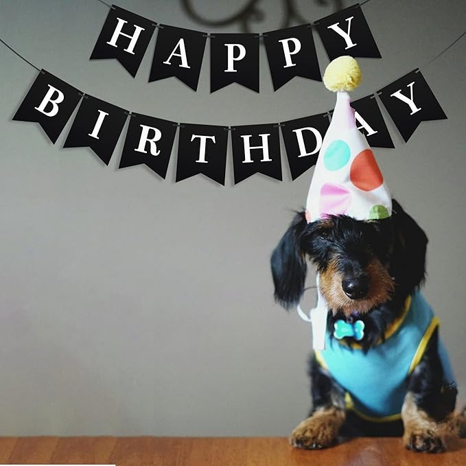 Black Happy Birthday Banner - Black Hanging Backdrop Sign With White Letters, Happy Birthday Sign Bunting Decorations For Men Women Kids Baby Shower Party Supplies (13pcs)