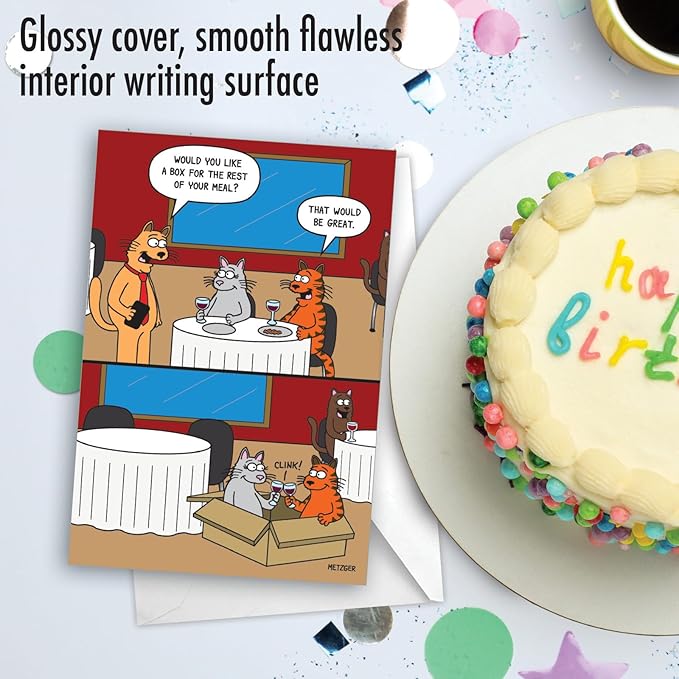 NobleWorks - 1 Funny Birthday Greeting Card w/ 5 x 7 Envelope For Men, Women - Bday Cat Box C7005BDG