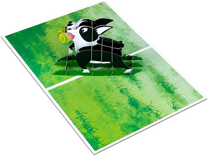 Boston Terrier Pop Up Greeting Cards with Blank Note & Envelope, ideal celebration gift for Friendship, Love, Anniversary, Special Moments, Inspirational, Appreciated, Birthday