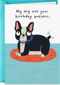 Hallmark Shoebox Funny Birthday Card (My Dog Ate Your Present)