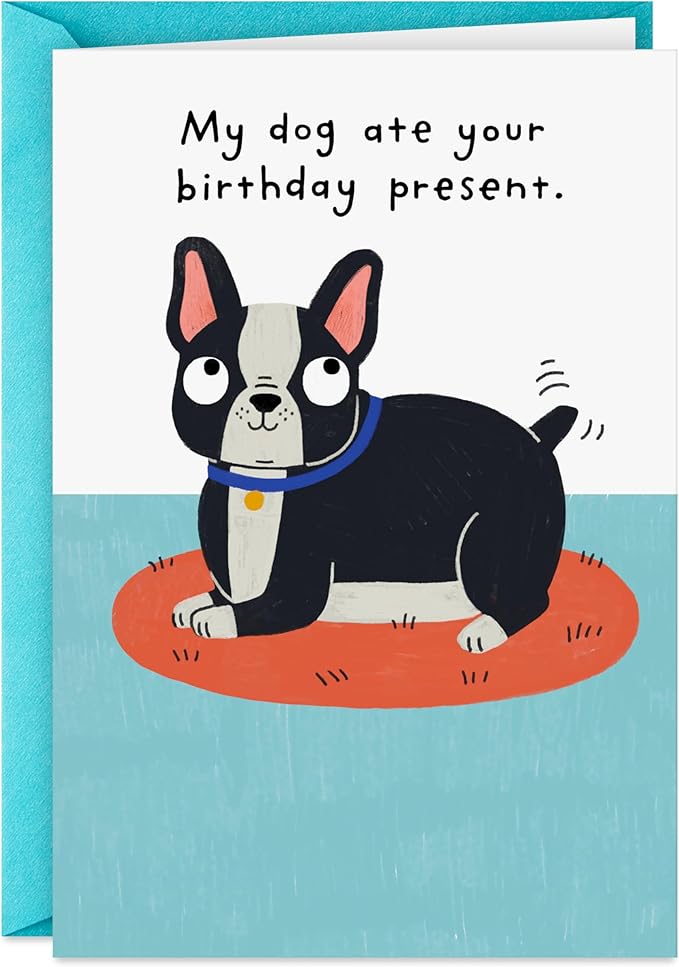 Hallmark Shoebox Funny Birthday Card (My Dog Ate Your Present)