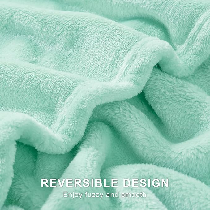 Hansleep Fleece Lake Green Full Blanket, Super Soft Flannel Fuzzy Plush Cozy Blanket for All Seasons, Lake Green, Full 84x90 Inches