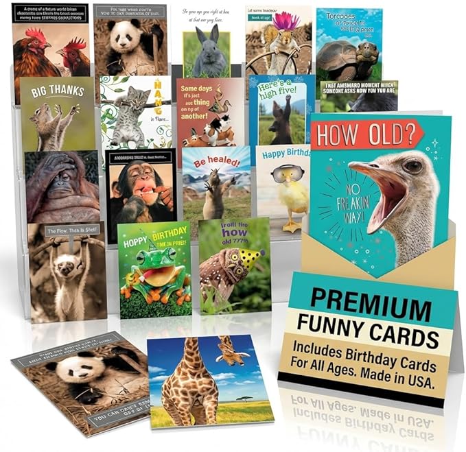 Leanin' Tree Wildly Funny - Made In USA - 20 Assorted Cards with Envelopes All Occasion, Birthday Cards Funny Enough to Make You Laugh, Includes Birthday, Encouragement, Friendship, Thank You and More