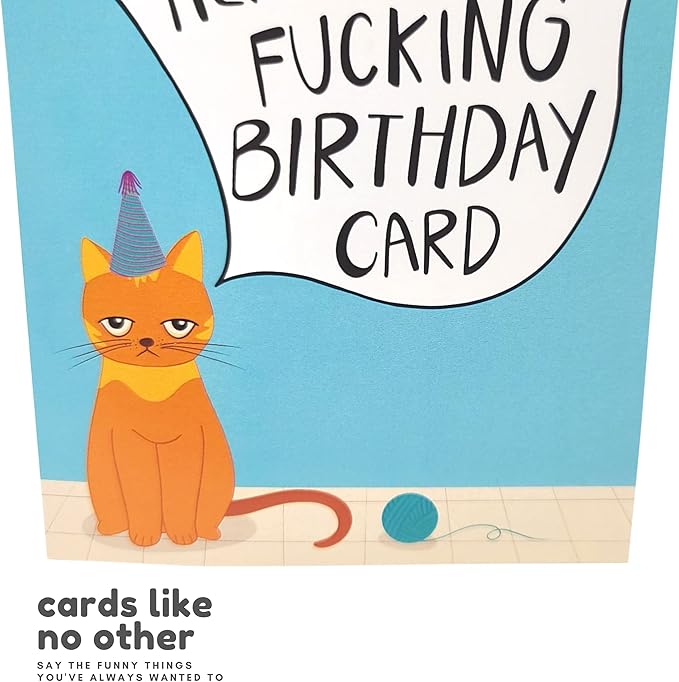 Sleazy Greetings Funny Birthday Card For Him Her | Rude Funny Cat Birthday Card For Men Women | Dirty Cat Bday Card For Wife Husband Boyfriend Girlfriend | Birthday Money's Tight Times Are Hard Card