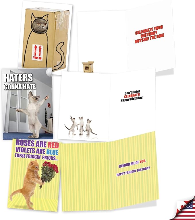 NobleWorks 20 Assorted Box Set Funny Birthday Greeting Cards w/5 x 7 Inch Envelopes (10 Designs, 2 Each) Bday PetiGreet Cats AC4886BDG-B2x10