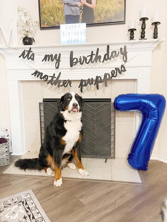 Blue Number Balloons for Birthday Party Decoration, 40 Inch Foil Number 0 Ballon for 0, 10, 20, 100, 2026 Celebration, Birthday, Baby Shower, Anniversary Decor