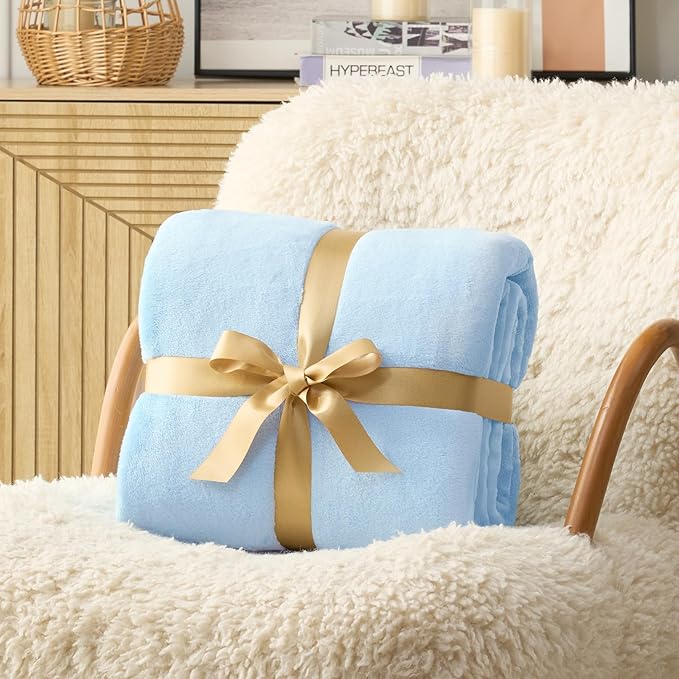 Hansleep Fleece Light Blue Queen Blanket, Super Soft Flannel Fuzzy Plush Cozy Blanket for All Seasons, Light Blue, Queen 90x90 Inches