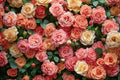 CYLYH 7X5FT Floral Backdrop Pink Rose Green Leaves Wall Background Girls Princess Birthday Baby Shower Wedding Cake Table Decoration Banner D904