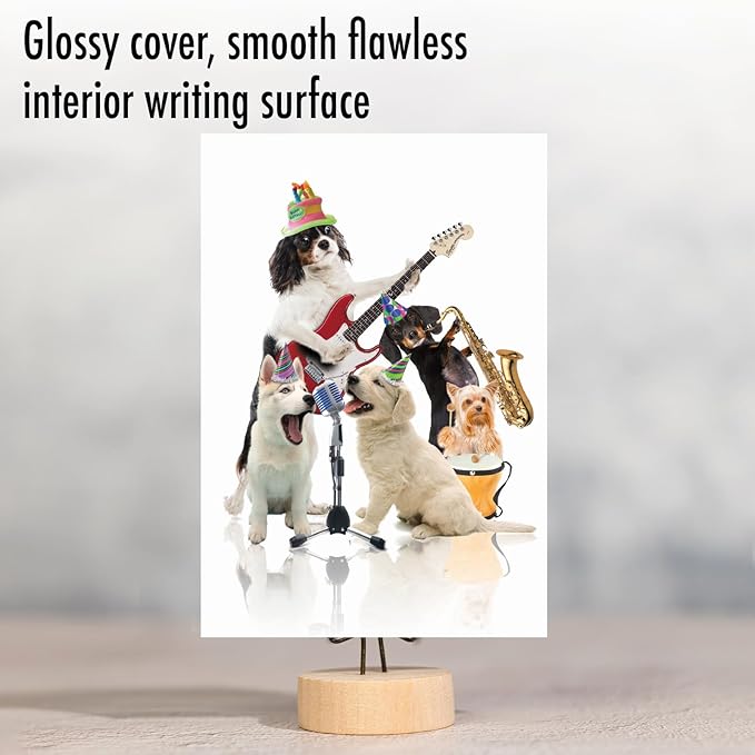 NobleWorks - Birthday Greeting Card with 5 x 7 Inch Envelope (1 Card), Fun Animal Bday Celebration - Animal Bands - Dogs C9508FBDG