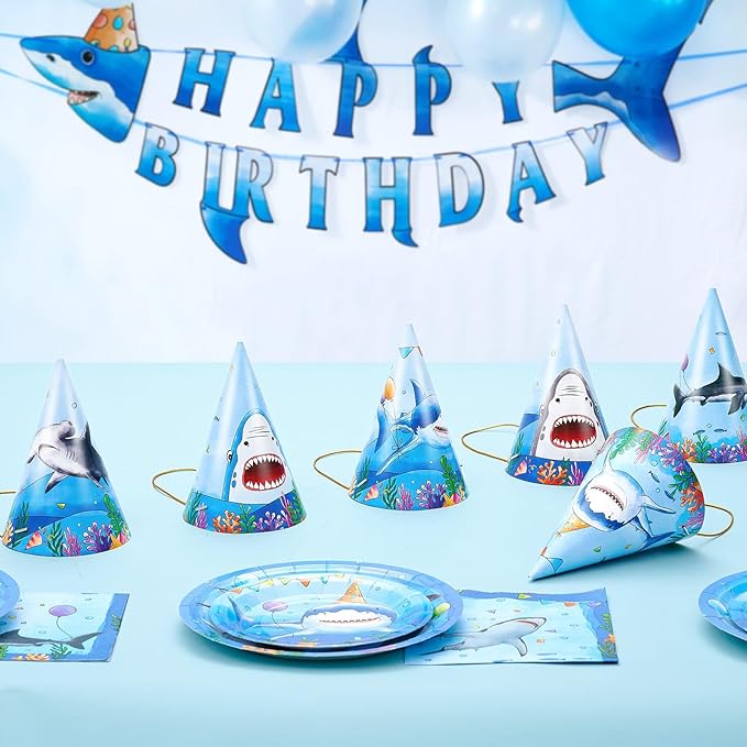 WERNNSAI Birthday Party Hats - 12 Pcs Birthday Party Supplies Cone Hat Headbands Colorful Paper Party Hats for Kids