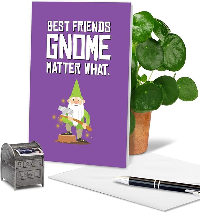 The Best Card Company Funny Birthday Greeting Card w/ 5 x 7 Envelope for Men and Women (1 Card) Friendly Garden Gnomes Besties C6441HBDG