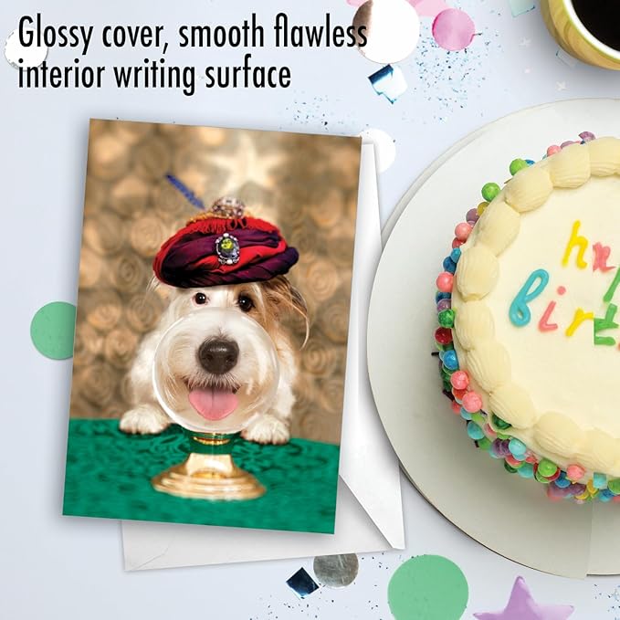 NobleWorks - 1 Happy Birthday Card with Funny Animals - Wildlife and Pet Humor, Fun Birthday Celebration Notecard - Dog Psychic C3210BDG
