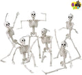 JOYIN 6 PCS 16" Halloween Skeleton Decor, Full Body Posable Movable Joints, Hanging Skeletons for Halloween Decoration Indoor Outdoor, Graveyard Haunted House Prop, Spooky Scene Party Favor