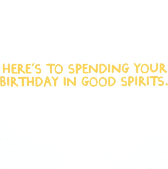 Hallmark Shoebox Funny Birthday Card (Vodka Goldfish)