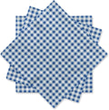 Gatherfun Disposable Paper Napkins Blue and White Gingham for Dinner Picnic and Parties (Pack of 50)