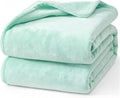 Hansleep Fleece Lake Green Full Blanket, Super Soft Flannel Fuzzy Plush Cozy Blanket for All Seasons, Lake Green, Full 84x90 Inches