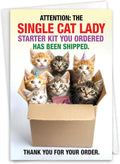 NobleWorks - 1 Funny Birthday Greeting Card w/ 5 x 7 Envelope For Men, Women - Bday Single Cat Lady C8469BDG