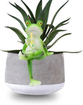 HPMAISON Miniature Frog Figurines Plant Decorations for Pots Resin Garden Frog Statue Cute Planter Hugger for Pot Fish Tank Mini Outdoor Yard Patio Fairy Garden Statue Desk Ornament (Juice Cup)