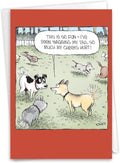 NobleWorks Funny Birthday Greeting Card with 5 x 7 Inch Envelope (1 Card) Bday Dog Wagging Tail C10649BDG