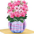 FaCraft Pop Up Flower Cards - 3D Orchid Gifts for Mom Wife Daughter Grandmother - Handmade - with Envelope - All Occasions - Birthday Anniversary Graduation Mothers Valentines Day