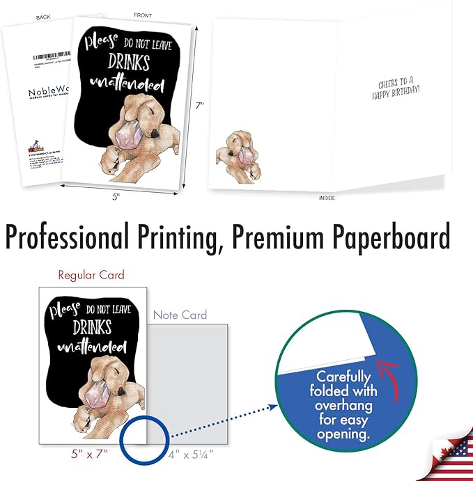 NobleWorks, Assortment Pack of 3 Funny Birthday Greeting Cards with Envelopes (3 Designs, 1 Each) Dog Antics Party VC10796BDG-C1x3