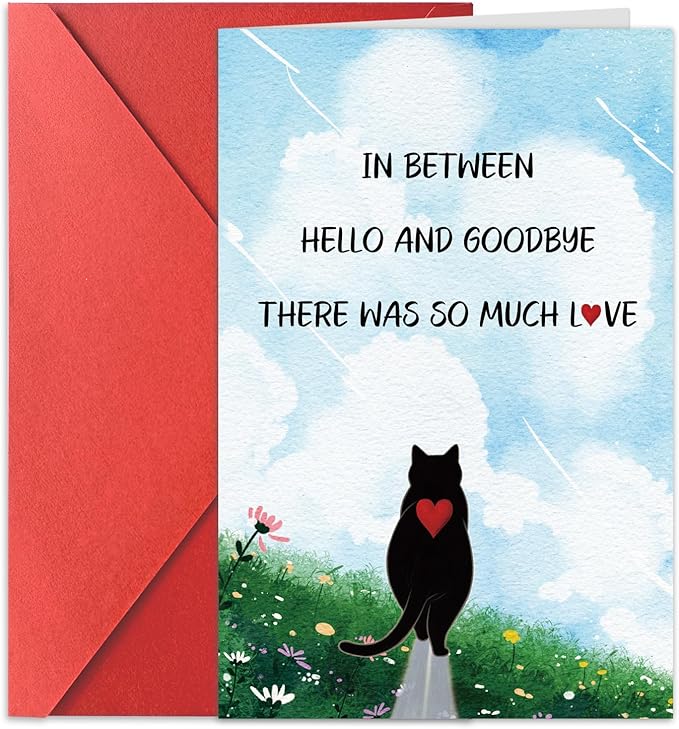 Pet Sympathy Card for Cat Thinking of You Gifts Condolences Card for Loss of Cat Bereavement Sorry for Your Loss Blank Inside Envelope