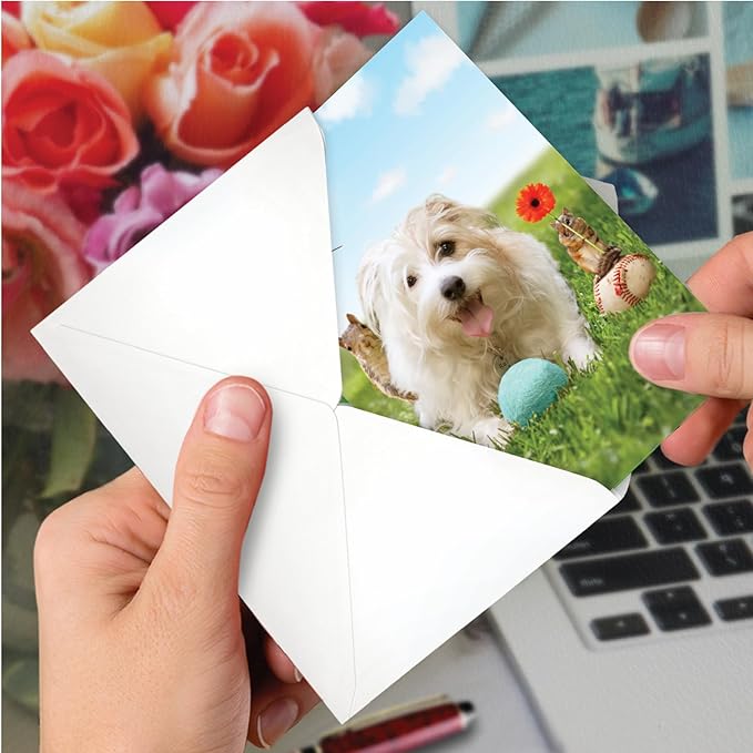 NobleWorks - 1 Happy Birthday Card with Funny Animals - Wildlife and Pet Humor, Fun Birthday Celebration Notecard - Dog Play C3205BDG