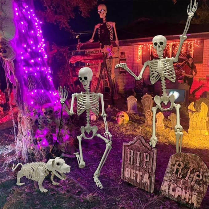 WODMAZ 5.4Ft Posable Halloween Skeleton, Full Body Life Size Skeleton with Dog Skeleton for Halloween Spooky Party Props Decor