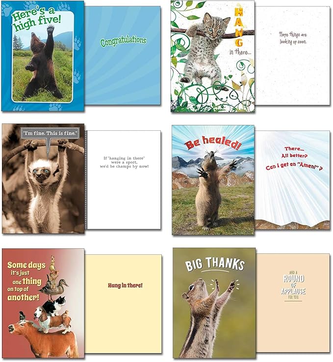 Leanin' Tree Wildly Funny - Made In USA - 20 Assorted Cards with Envelopes All Occasion, Birthday Cards Funny Enough to Make You Laugh, Includes Birthday, Encouragement, Friendship, Thank You and More
