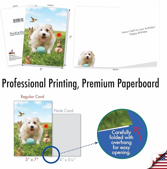 NobleWorks - 1 Happy Birthday Card with Funny Animals - Wildlife and Pet Humor, Fun Birthday Celebration Notecard - Dog Play C3205BDG