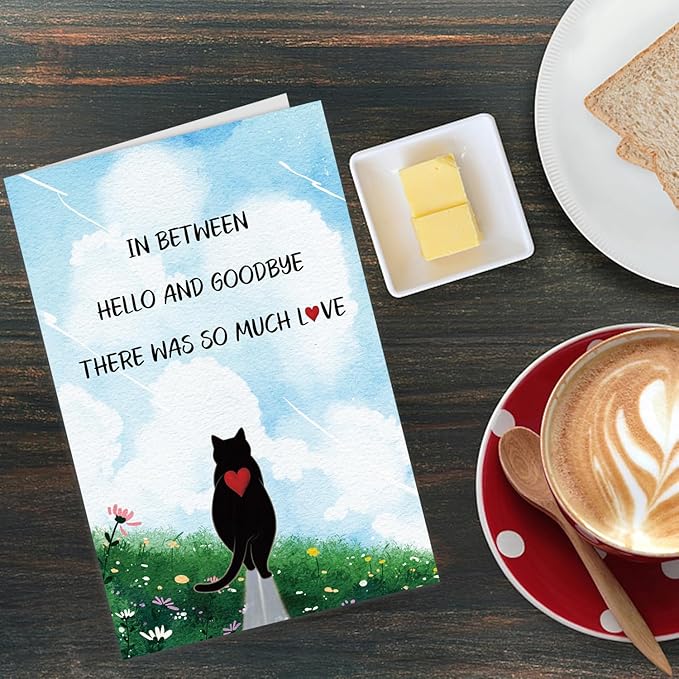 Pet Sympathy Card for Cat Thinking of You Gifts Condolences Card for Loss of Cat Bereavement Sorry for Your Loss Blank Inside Envelope