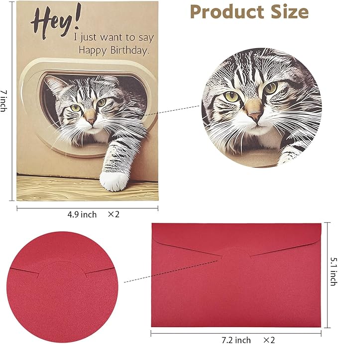 Birthday Cards Pack of 2,Birthday Cards Bulk for Women Men Kids Assorted Birthday Greeting Cards for Kids Assortment,2 Card with Envelopes (Cartoon cat)