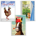 NobleWorks Assorted 3 Pack, Hysterical Animal Women's Birthday Greeting Cards with 5 x 7 Inch Envelopes (3 Designs, 1 Each) Wild Life VC2806BDG-C1x3