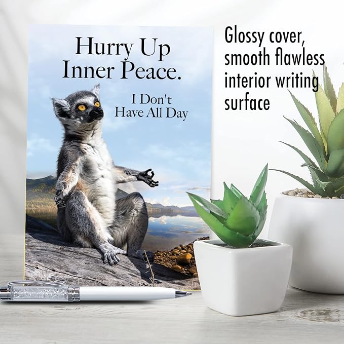 NobleWorks Funny Birthday Greeting Card with 5 x 7 Inch Envelope for Men and Women (1 Card) Meditation Bday, Inner Peace Rush C10253BDG